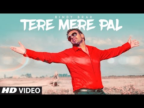 Tere Mere Pal video song