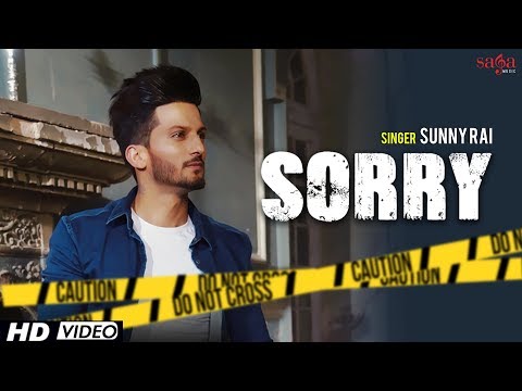 Sorry video song