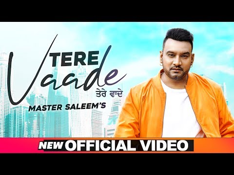 Tere Vaade video song