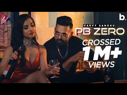 Pb Zero video song