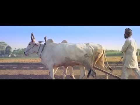 Zimewariya video song